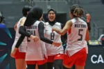 timnas voli indonesia putri